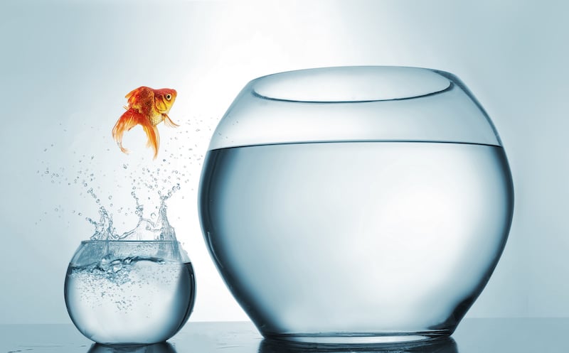 grandir avec le coaching